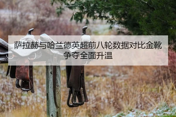 萨拉赫与哈兰德英超前八轮数据对比金靴争夺全面升温